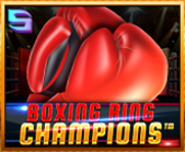 Boxing Ring Champions