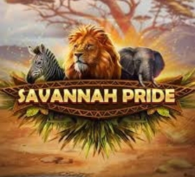 Savannah Pride