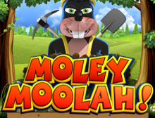 Moley Moolah Going Underground