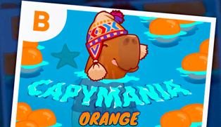 
                            Capymania Orange