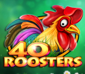 
                            40 Roosters