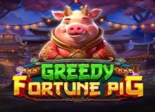 
                            Greedy Fortune Pig