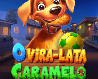 
                            O Vira-lata Caramelo