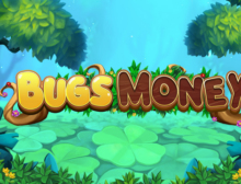 Bugs Money