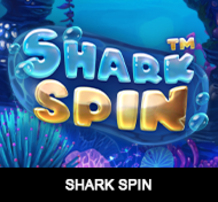 
                            Shark Spins