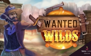 
                            Wanted WILDS