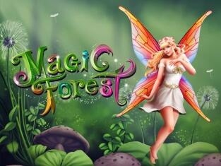 
                            Magic Forest