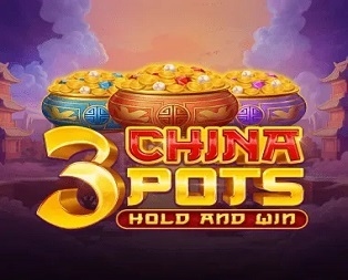 
                            3 China Pots
