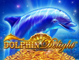Dolphin Delight