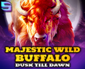 Majestic Wild Buffalo - Dusk Till Dawn