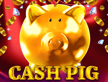 
                            Cash Pig