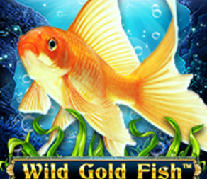Wild Gold Fish