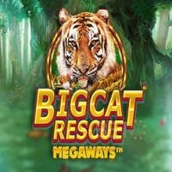 Big Cat Rescue Megaways