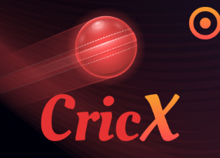 
                            CricX